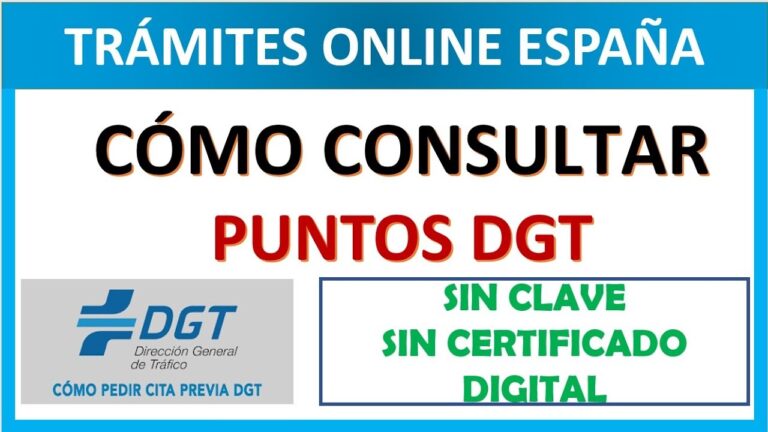 Consulta Rápida: ¿Cómo Saber Cuántos Puntos Tengo en Mi Licencia de Conducir?