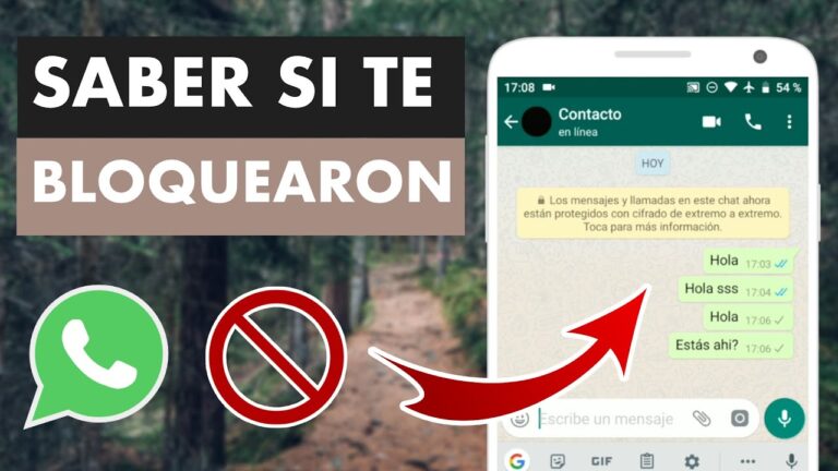 10 Señales Definitivas para Descubrir si te Han Bloqueado en WhatsApp