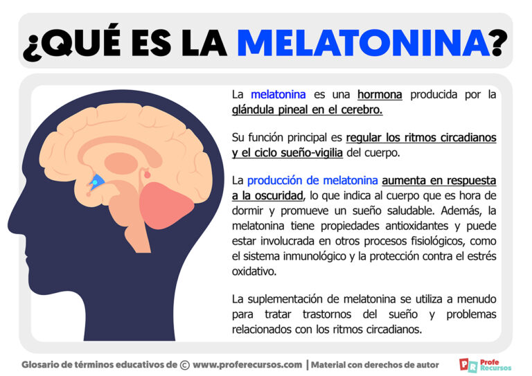 Comprar Melatonina: Descubre cómo regular tus ritmos circadianos de forma natural